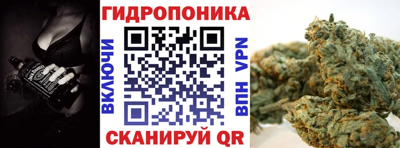 Конопля White Widow  как найти наркотики  Валдай 